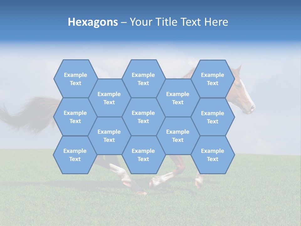 Equestrian Nature Racing PowerPoint Template