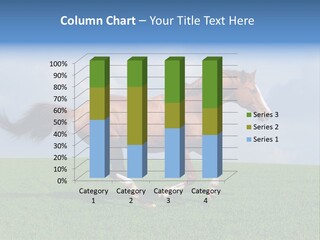 Equestrian Nature Racing PowerPoint Template