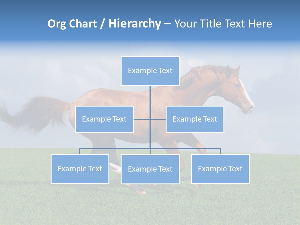 Equestrian Nature Racing PowerPoint Template