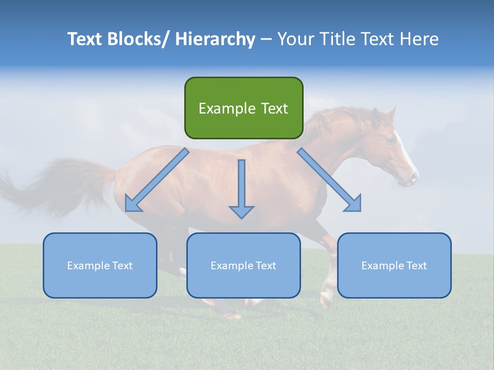 Equestrian Nature Racing PowerPoint Template