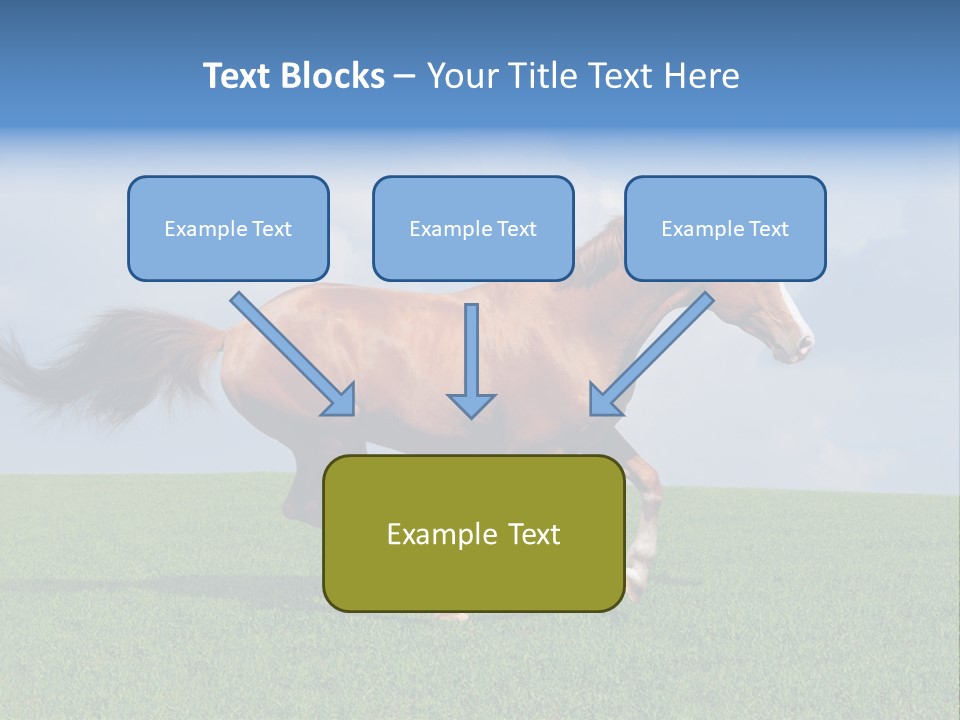 Equestrian Nature Racing PowerPoint Template