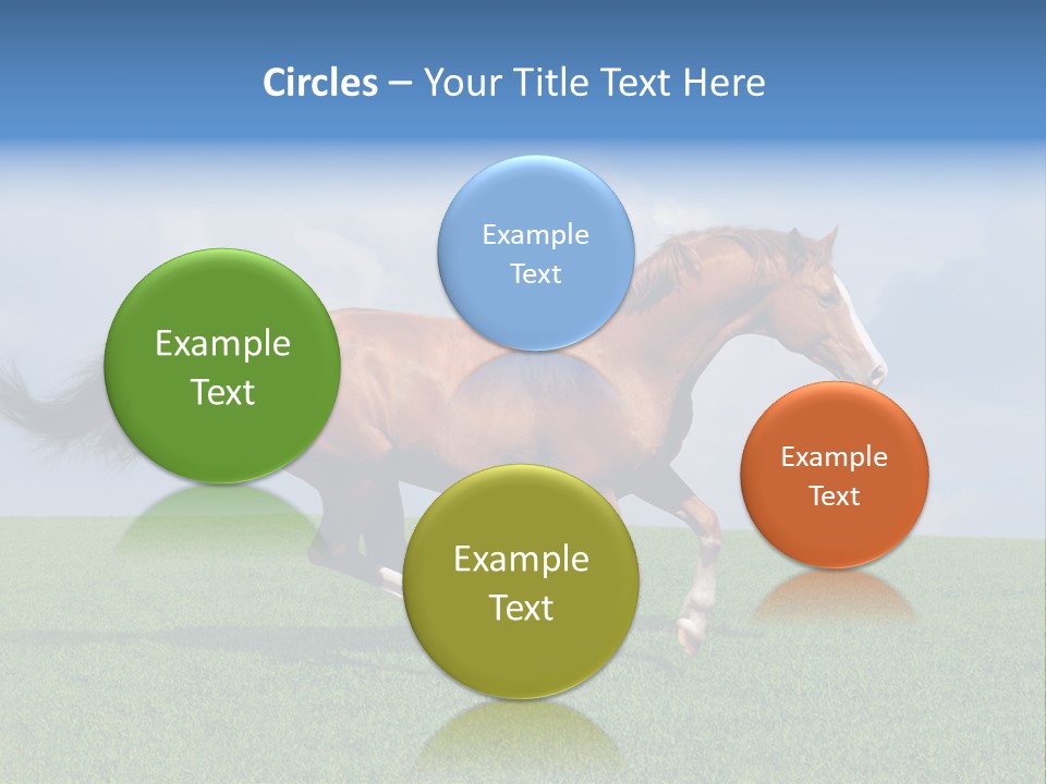 Equestrian Nature Racing PowerPoint Template