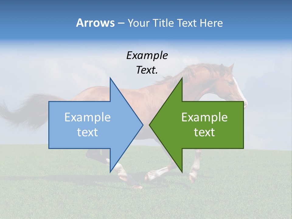 Equestrian Nature Racing PowerPoint Template