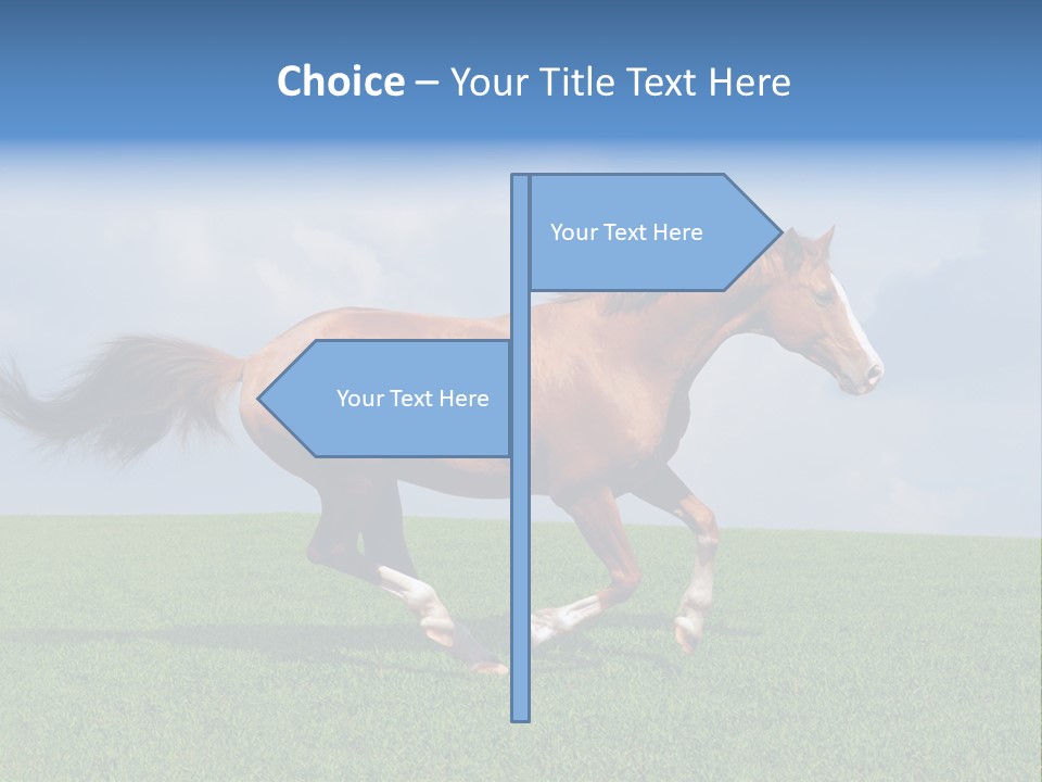 Equestrian Nature Racing PowerPoint Template