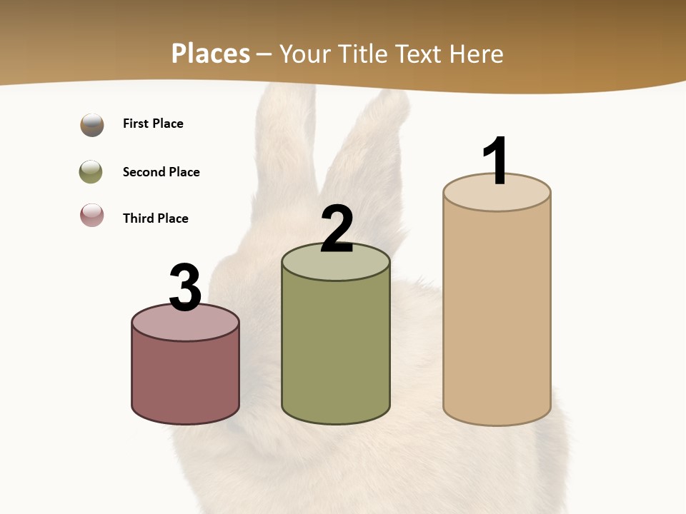 Bunny Pets Hear PowerPoint Template