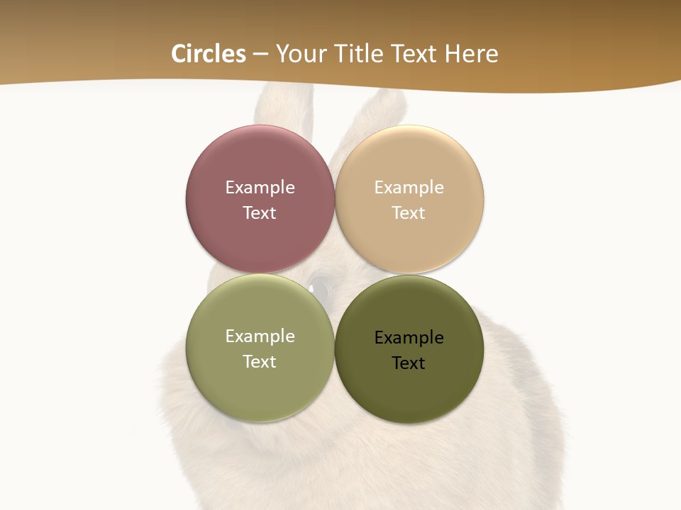 Bunny Pets Hear PowerPoint Template