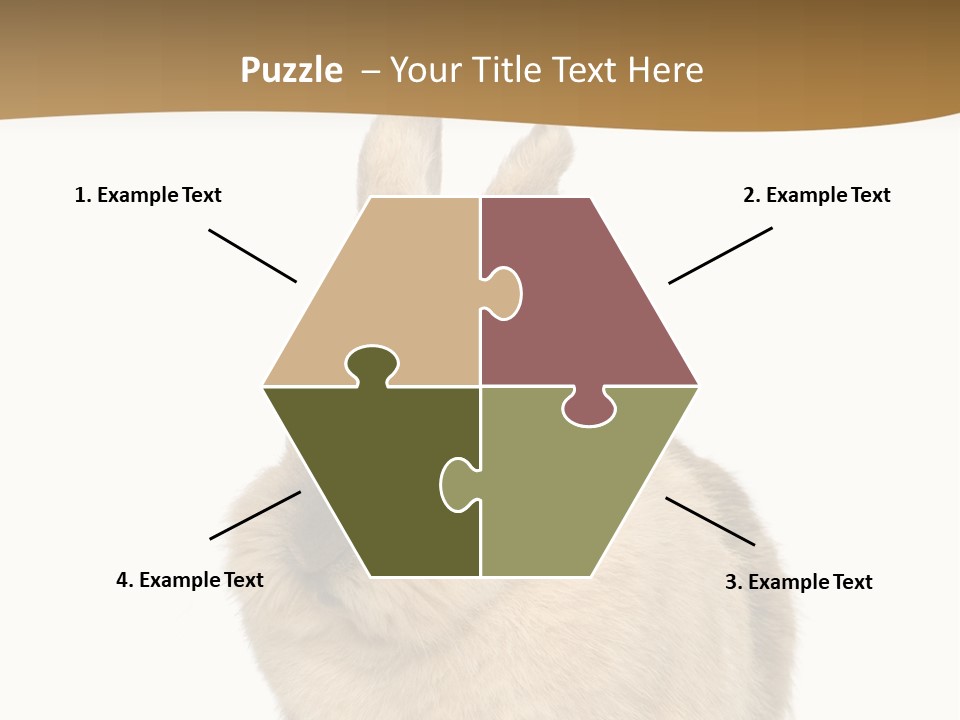 Bunny Pets Hear PowerPoint Template