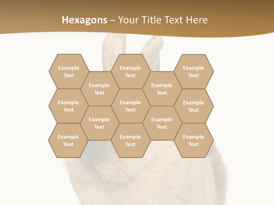 Bunny Pets Hear PowerPoint Template