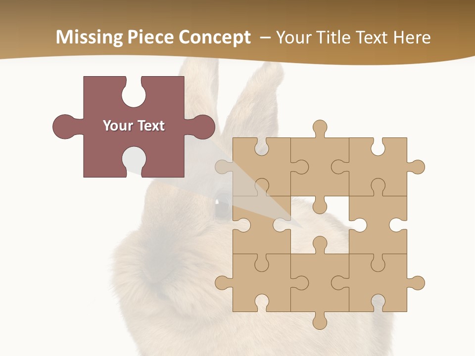 Bunny Pets Hear PowerPoint Template