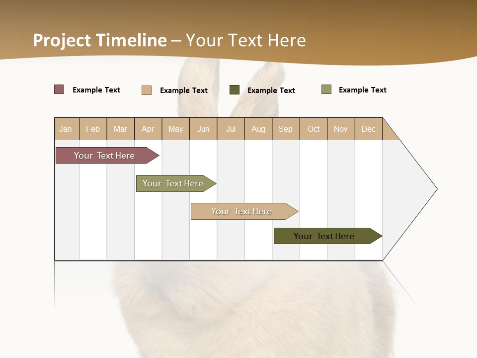 Bunny Pets Hear PowerPoint Template