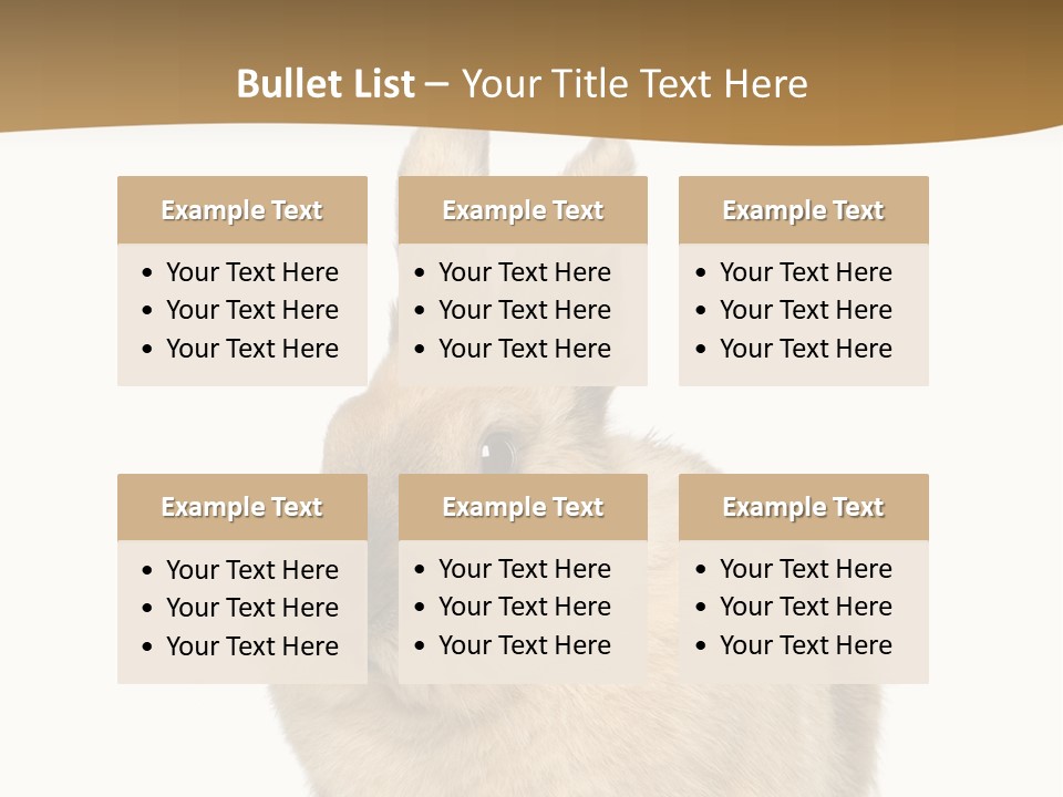 Bunny Pets Hear PowerPoint Template