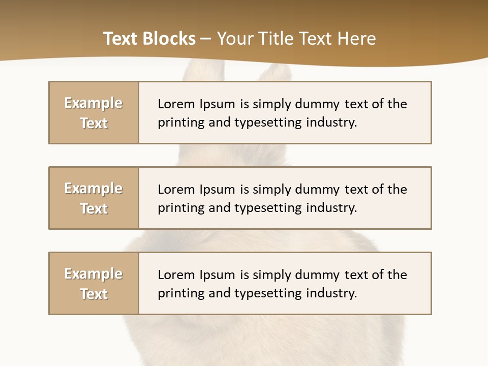 Bunny Pets Hear PowerPoint Template