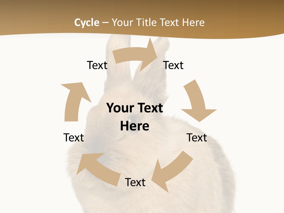 Bunny Pets Hear PowerPoint Template