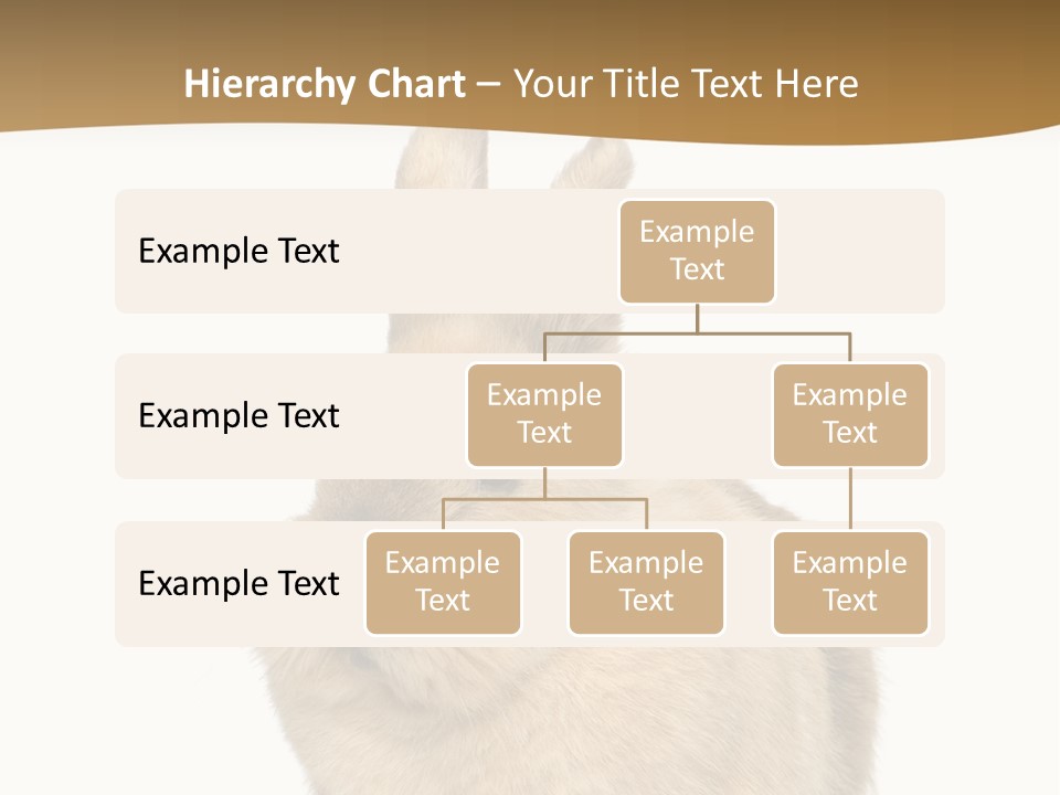 Bunny Pets Hear PowerPoint Template