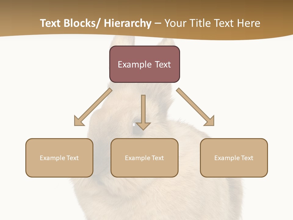 Bunny Pets Hear PowerPoint Template