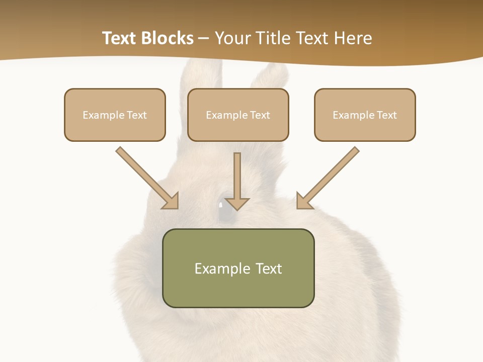 Bunny Pets Hear PowerPoint Template