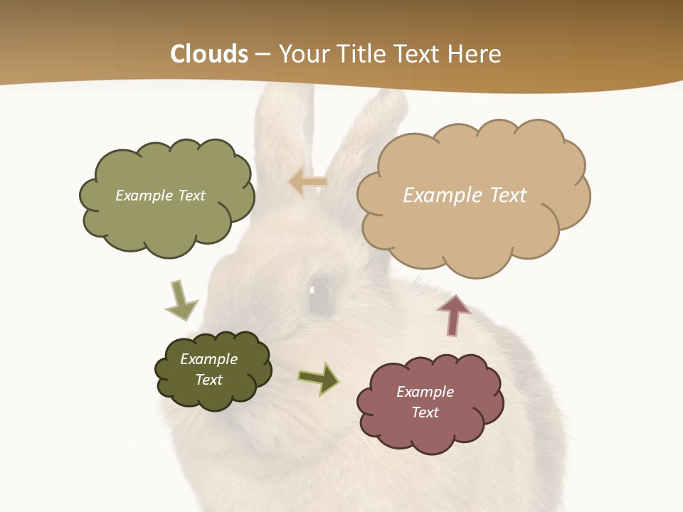 Bunny Pets Hear PowerPoint Template