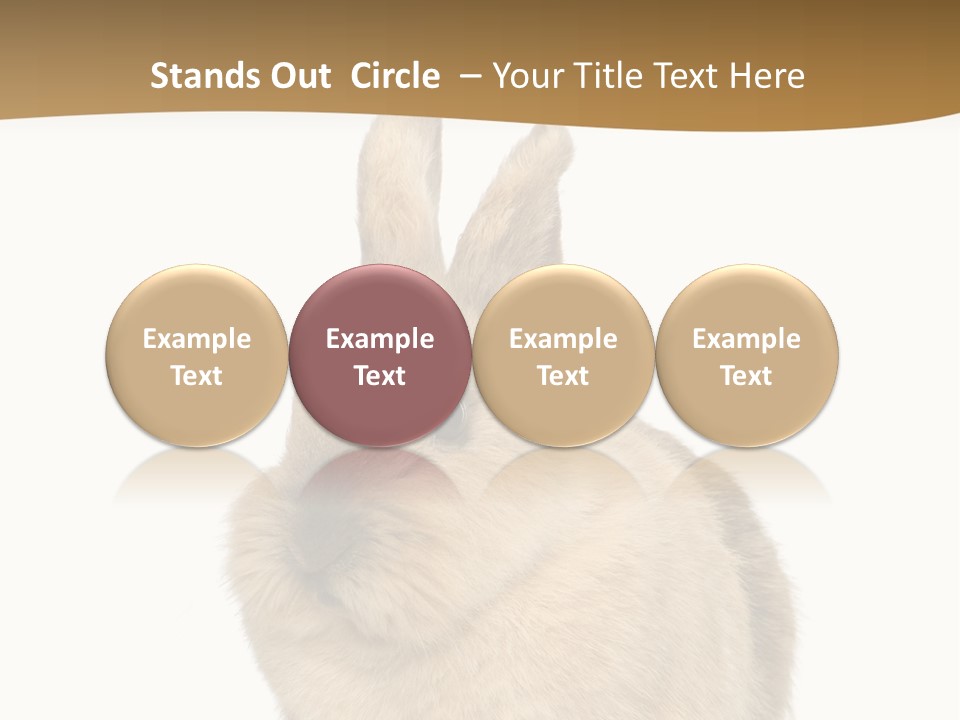 Bunny Pets Hear PowerPoint Template