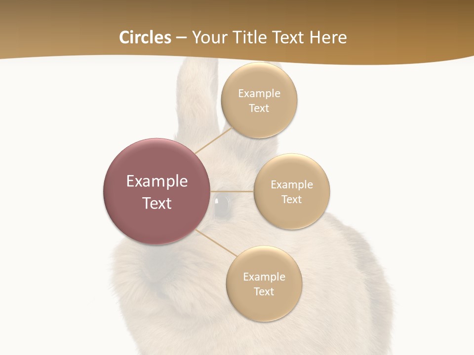 Bunny Pets Hear PowerPoint Template