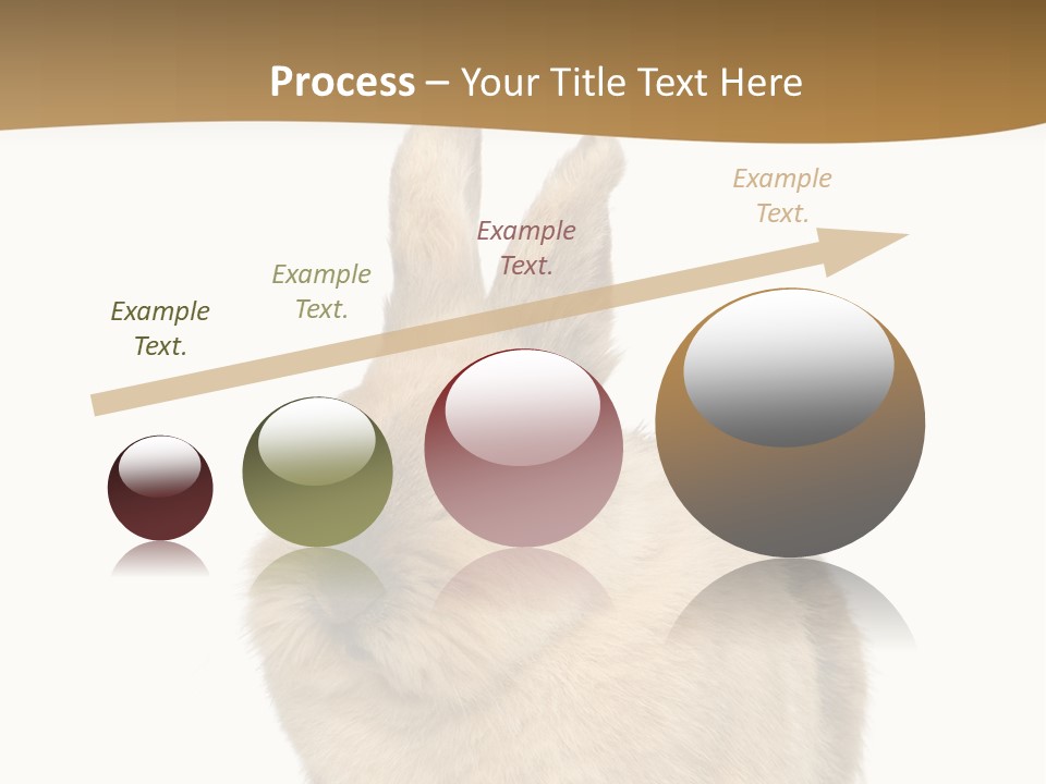 Bunny Pets Hear PowerPoint Template