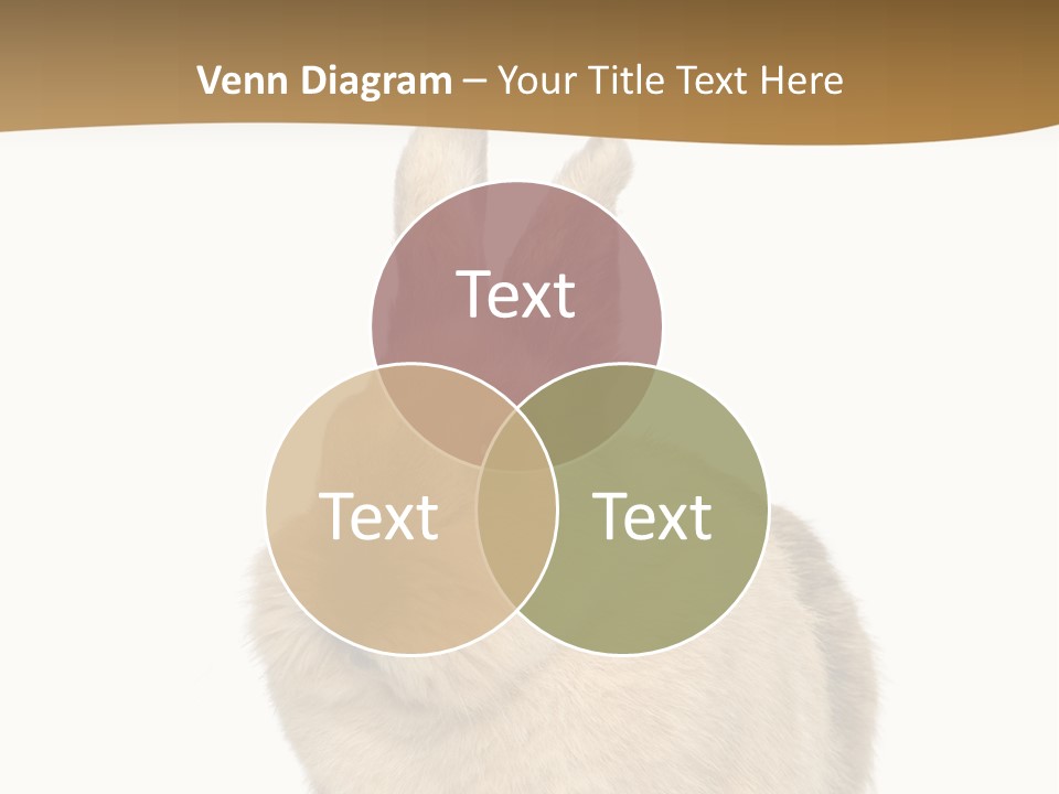 Bunny Pets Hear PowerPoint Template