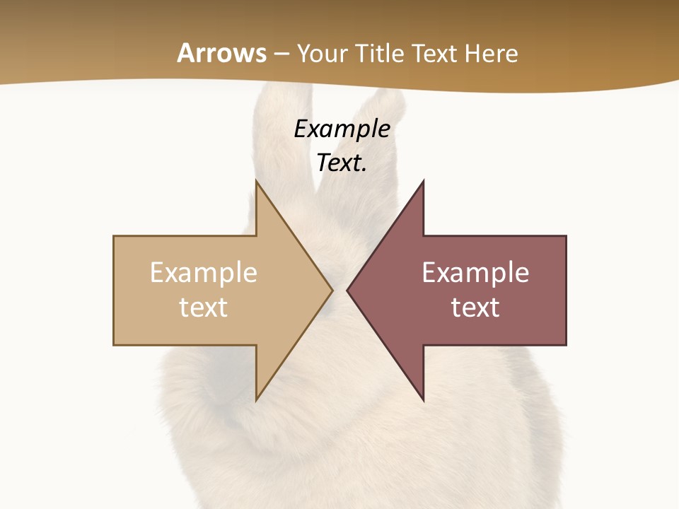 Bunny Pets Hear PowerPoint Template
