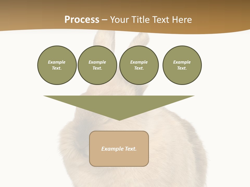 Bunny Pets Hear PowerPoint Template