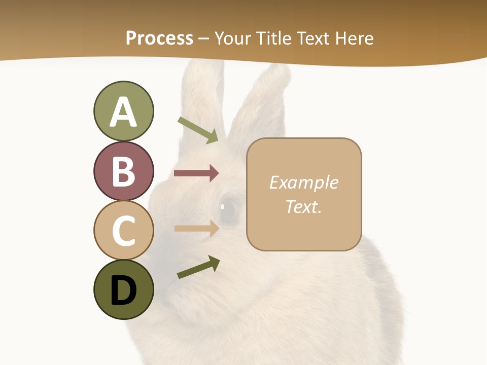 Bunny Pets Hear PowerPoint Template