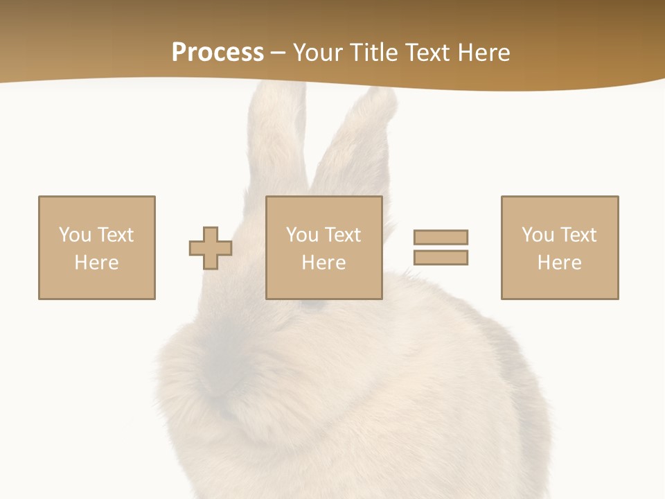Bunny Pets Hear PowerPoint Template