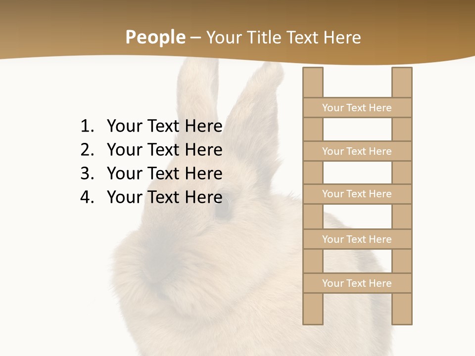 Bunny Pets Hear PowerPoint Template