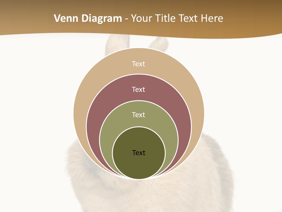Bunny Pets Hear PowerPoint Template