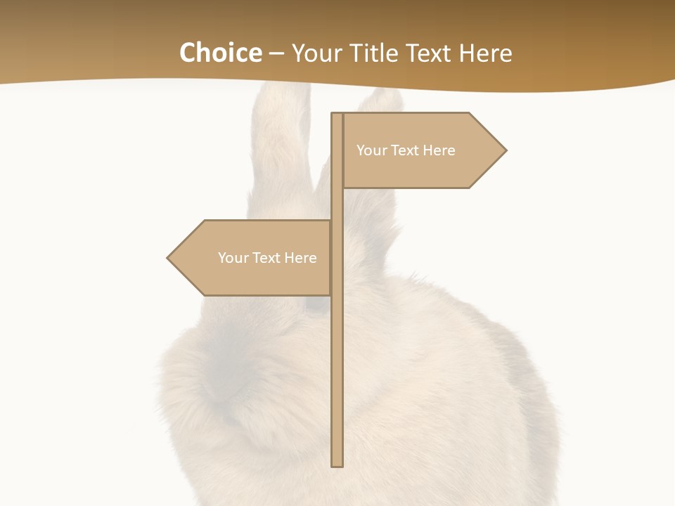 Bunny Pets Hear PowerPoint Template