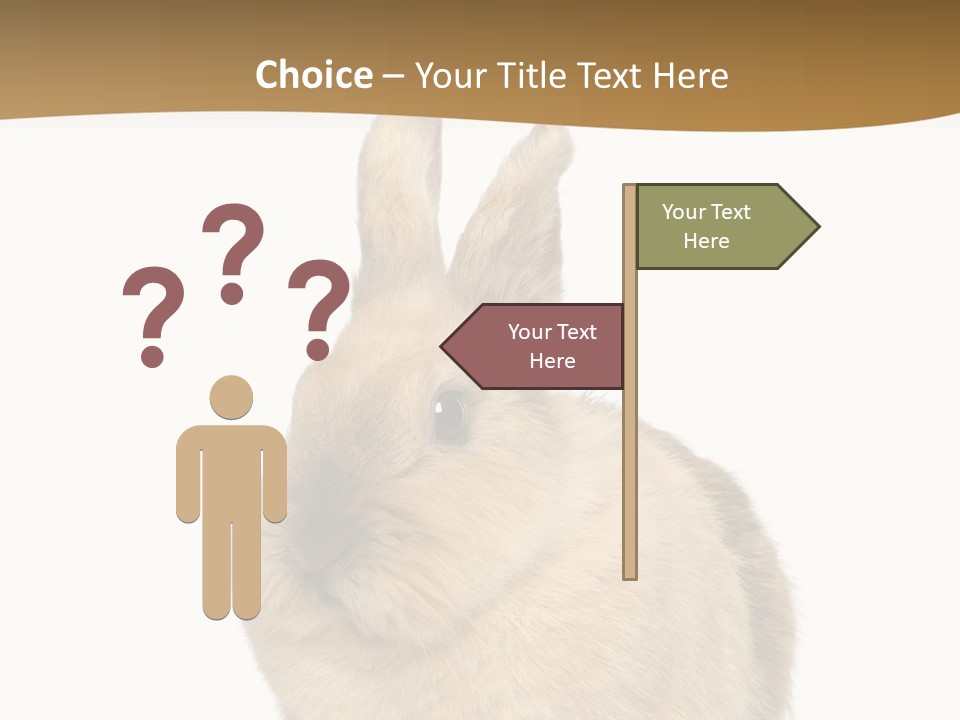 Bunny Pets Hear PowerPoint Template