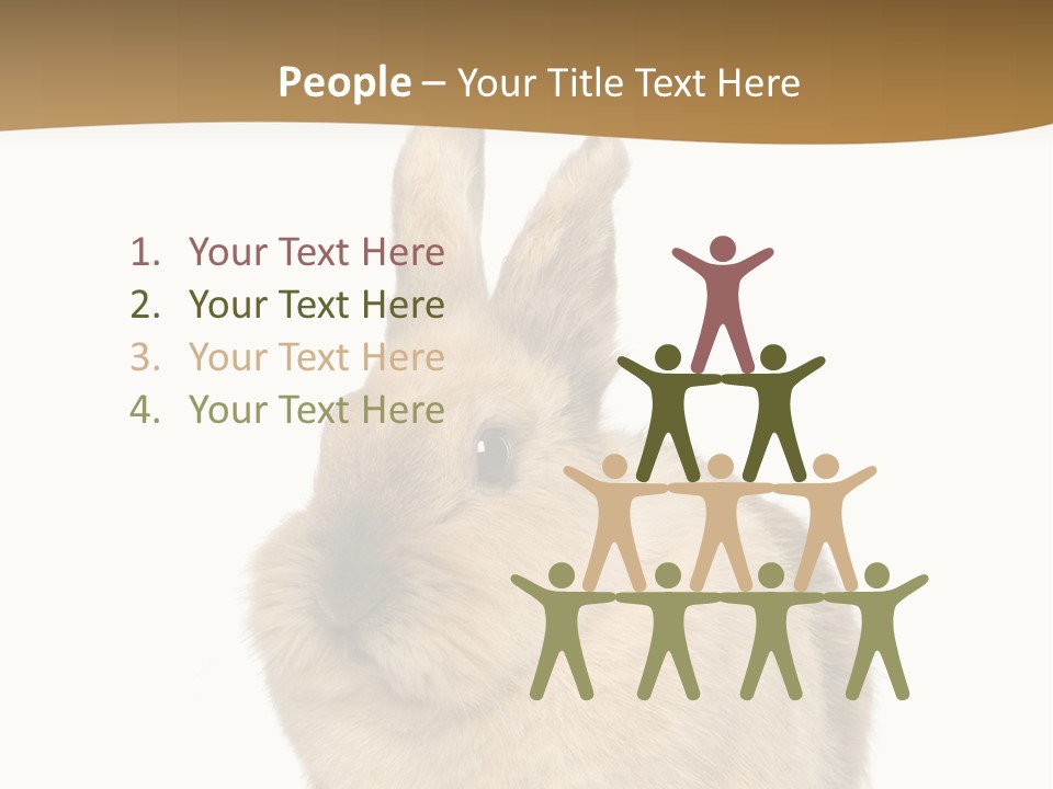Bunny Pets Hear PowerPoint Template