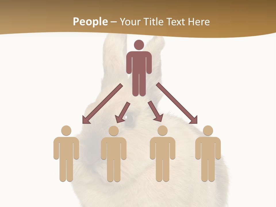 Bunny Pets Hear PowerPoint Template