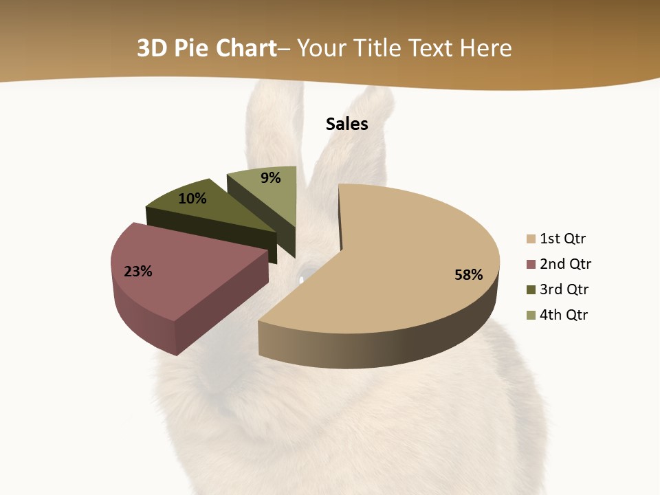 Bunny Pets Hear PowerPoint Template