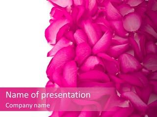 Red Message Blank PowerPoint Template