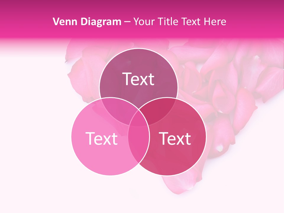 Event Wine Bunch PowerPoint Template