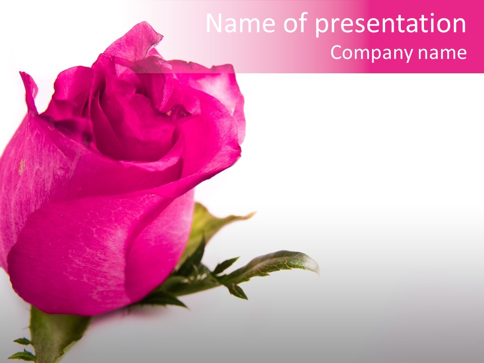 Blossom Wine Valentine PowerPoint Template