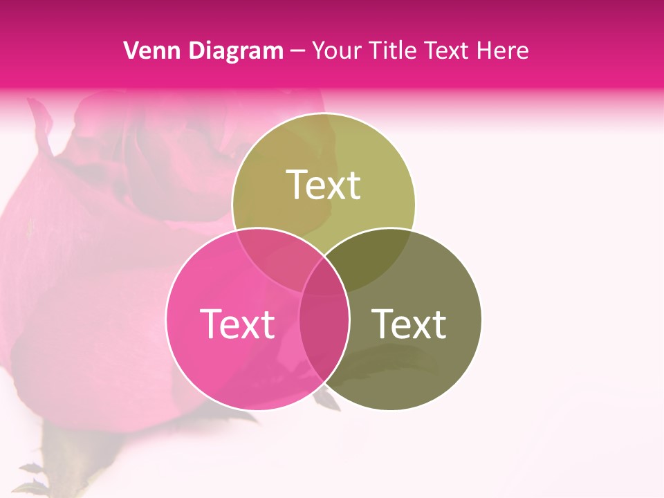Blossom Wine Valentine PowerPoint Template