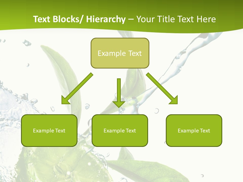 Liquid Citrus Lifestyle PowerPoint Template