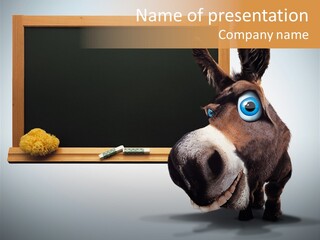 Schoolboy Funny Animal PowerPoint Template