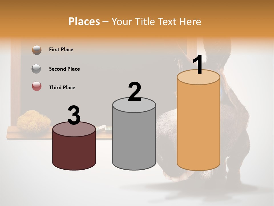 Schoolboy Funny Animal PowerPoint Template