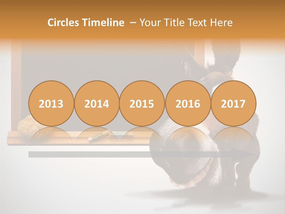 Schoolboy Funny Animal PowerPoint Template