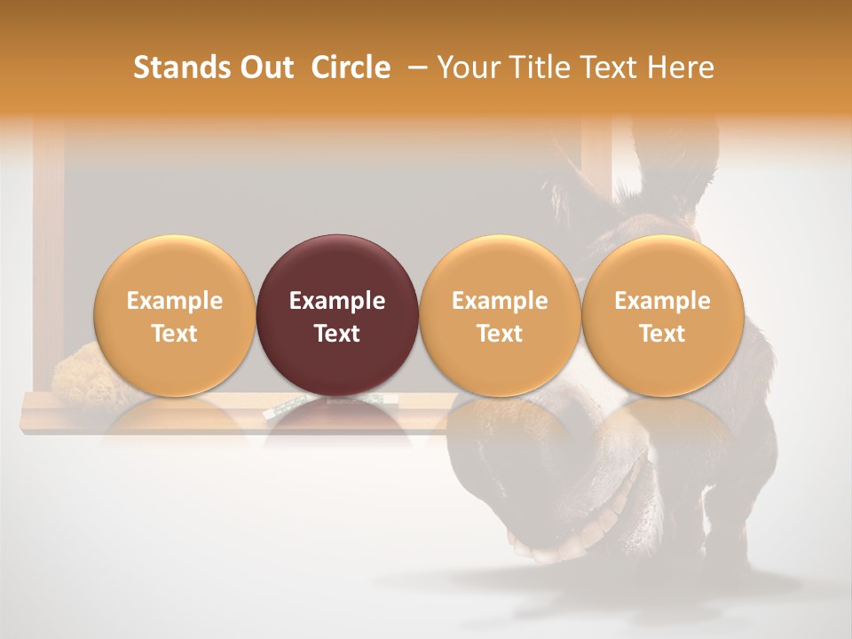 Schoolboy Funny Animal PowerPoint Template