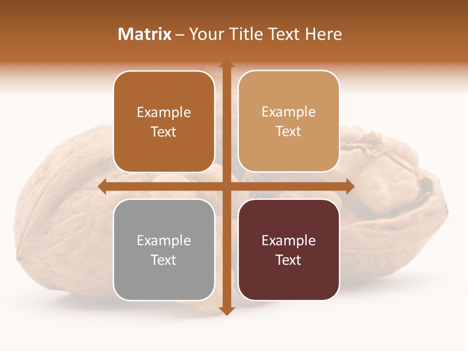 Nutty Seasonal Brain PowerPoint Template