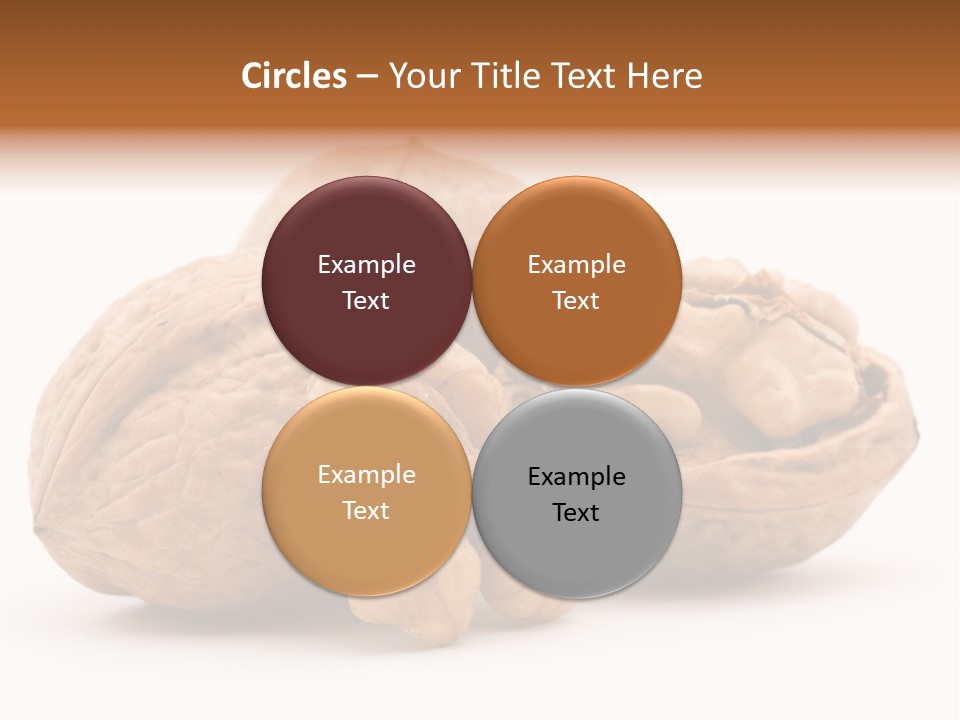 Nutty Seasonal Brain PowerPoint Template
