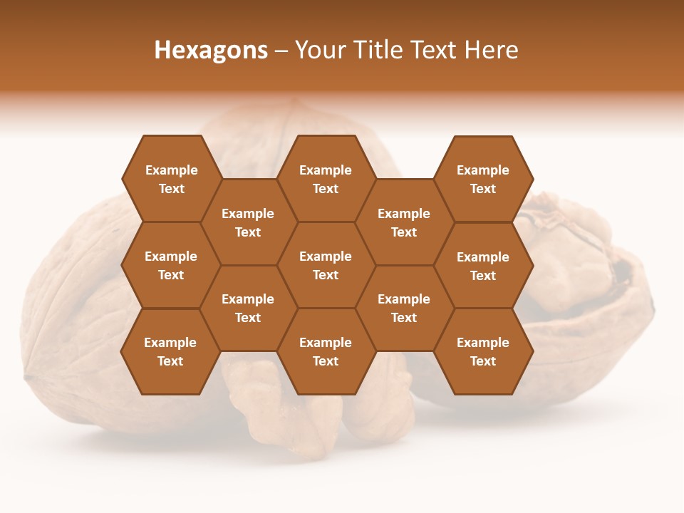 Nutty Seasonal Brain PowerPoint Template