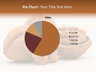 Nutty Seasonal Brain PowerPoint Template