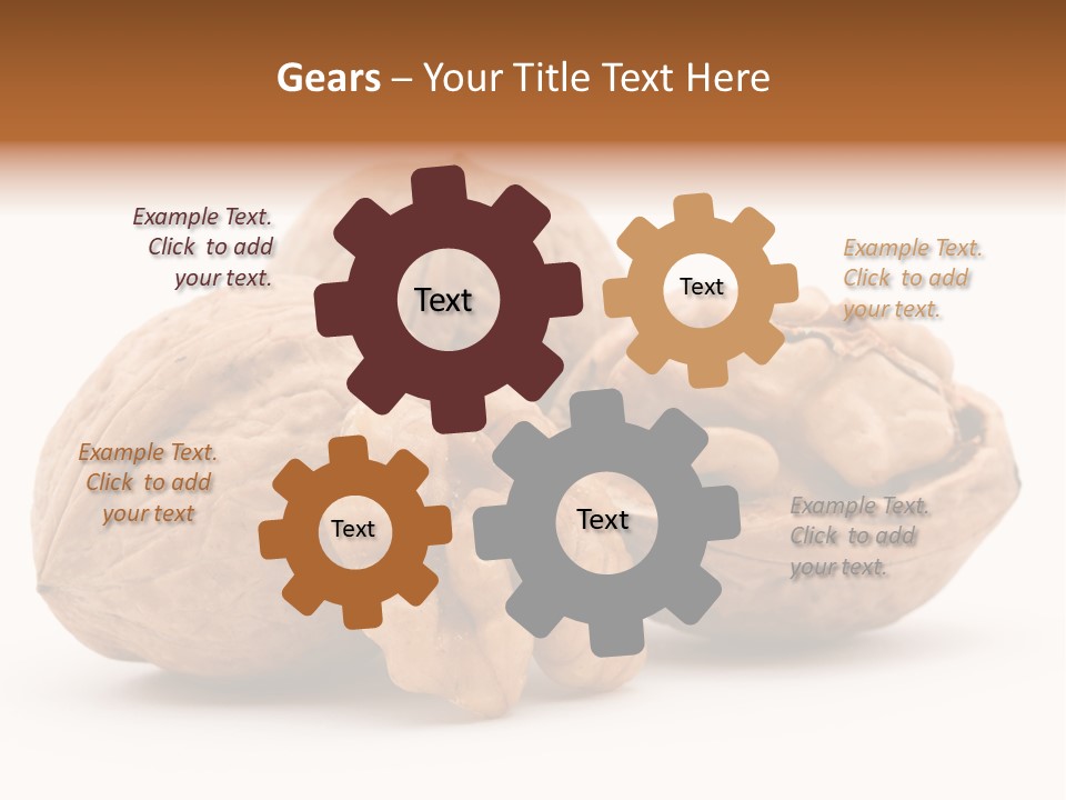 Nutty Seasonal Brain PowerPoint Template